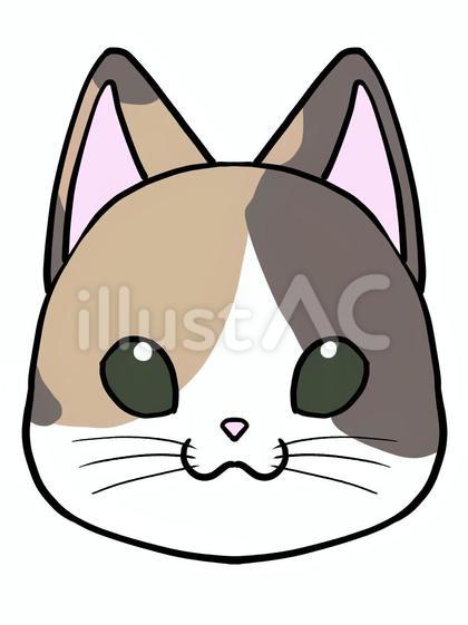 猫_三毛