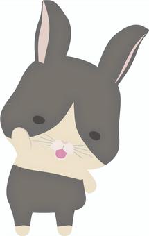Raised hands_Rabbit_Dutch, JPG, PNG and AI Raised hands_Rabbit_Dutch, raising hands, rabbit, animal, JPG, PNG and AI