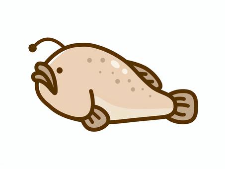 あんこう アンコウ,あんこう,鮟鱇,チョウチンアンコウ,ちょうちんあんこう,冬,鍋,鍋材料,冬の味覚,深海魚のイラスト素材