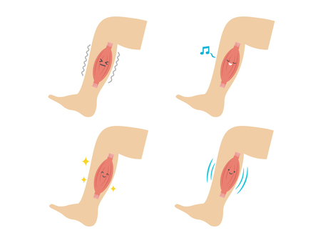 Illustration, calves, muscle, leg, 