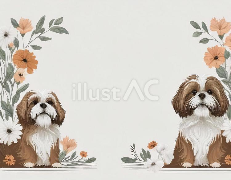 シーズー　背景　フレーム　素材 犬,フレーム,動物のイラスト素材