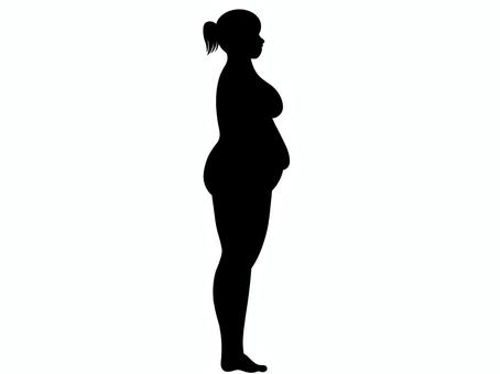 体型 体型,ダイエット,身体,体,肥満,デブ,メタボ,メタボリック,脂肪,皮下脂肪のイラスト素材