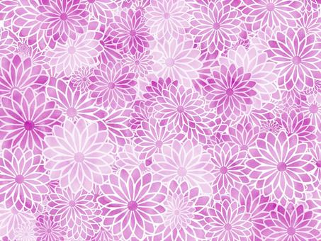 Chrysanthemum watercolor Japanese pattern, JPG Chrysanthemum watercolor Japanese pattern, , JPG