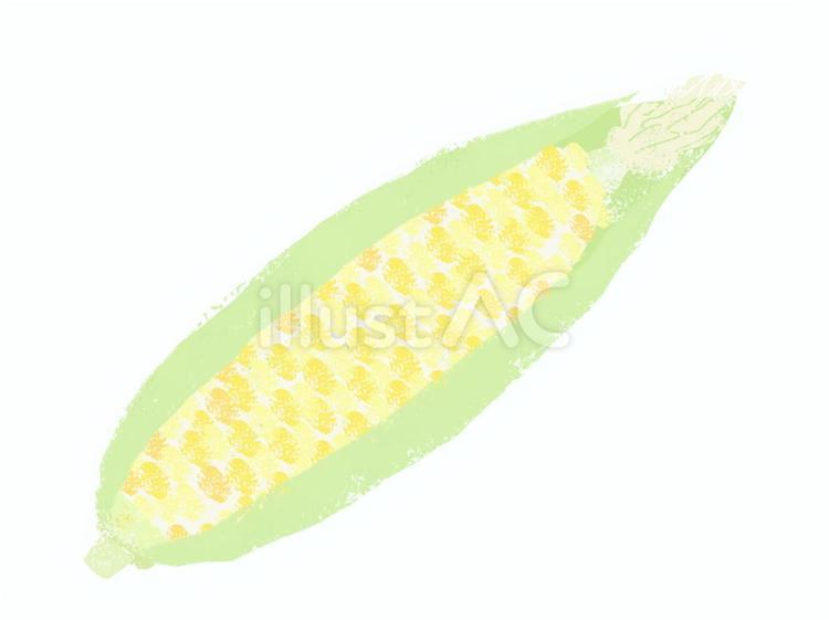 とうもろこし とうもろこし,野菜,イエローのイラスト素材
