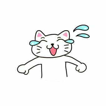 泣き笑いする白猫 ねこ,白猫,動物,キャラ,ポップ,かわいい,泣き笑い,涙,汗,上半身のイラスト素材