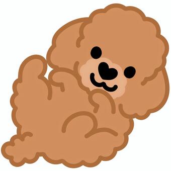 ハート鼻のプードル（ごろん）1 プードル,トイプードル,犬,動物,ハート,鼻,ゴロン,寝転がる,仰向け,シンプルのイラスト素材