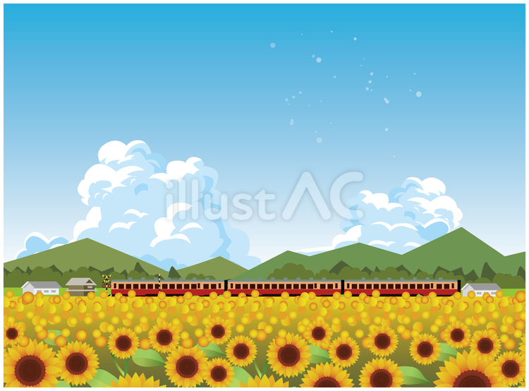 夏のひまわり畑風景 夏,夏季,ひまわりのイラスト素材