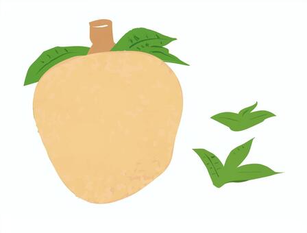 甘いマンゴーのカット素材 マンゴー,果物,フルーツ,南国,食べ物,果実,フレッシュ,熟成,甘い,ジューシーのイラスト素材