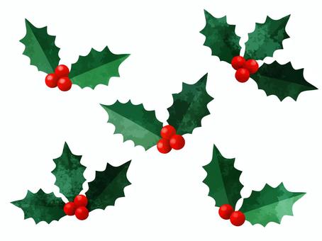 柊5種類セット 赤い実,ヒイラギ,クリスマス,クリスマスホーリー,実,葉,赤,冬,水彩,手描きのイラスト素材