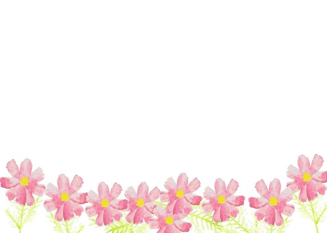 水彩のコスモス背景 コスモス,秋桜,秋,9月,10月,花畑,花,背景,壁神,装飾のイラスト素材