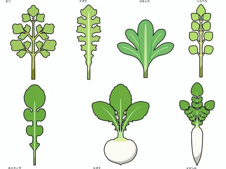 春の七草 春,植物,食べ物,七草,セリ,ナズナ,ゴギョウ,ハコベラ,ホトケノザ,スズナのイラスト素材