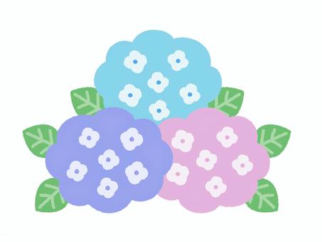 シンプルなあじさい あじさい,紫陽花,アジサイ,梅雨,梅雨入り,6月,初夏,夏,雨季,季節のイラスト素材