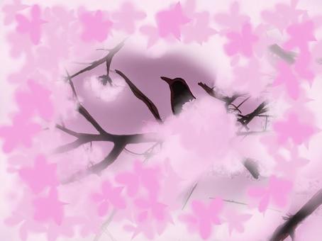 Illustration, cherry blossoms, tree branch, bird, 