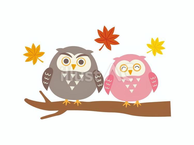 ふくろう1 ふくろう,秋,紅葉のイラスト素材