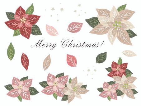 ポインセチア ポインセチア ポインセチア,花,冬,クリスマス,自然,植物,生花,切り花,水彩画,手描きのイラスト素材
