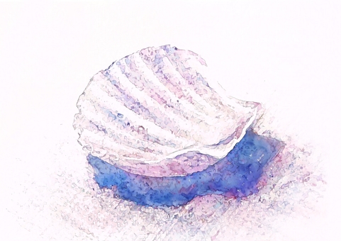 海思い出 貝殻,海,水彩,淡い色,背景,静物のイラスト素材