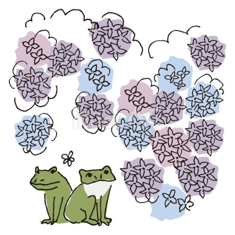 あじさいとカエル 梅雨,雨,カエルのイラスト素材