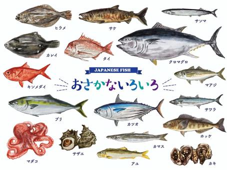 鮮魚いろいろ 魚,手書き,手描き,鮮魚,海鮮,スーパー,刺身,海,アユ,鮎のイラスト素材