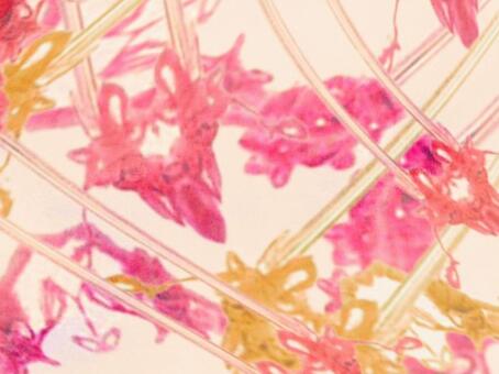 淡彩ステンドグラス-ピンク02 光,柔らかい,透明感,ステンドグラス,グラデーション,淡彩,風,空気感,背景,素材のイラスト素材