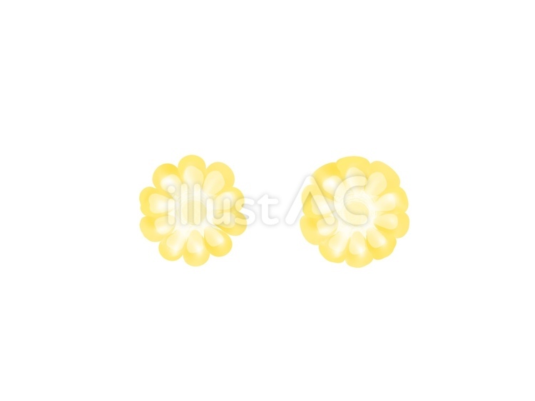 食べ物☆とうもろこし☆輪切り 食べ物,とうもろこし,輪切りのイラスト素材