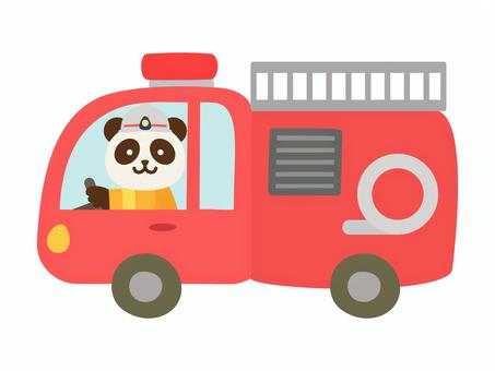 くるま_パンダ_消防車 車,消防車,消防,ポンプ車,動物,パンダ,消防隊員,消防士,運転,自動車のイラスト素材