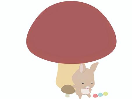 mushroom _ rabbit, JPG, PNG and AI mushroom _ rabbit, , JPG, PNG and AI