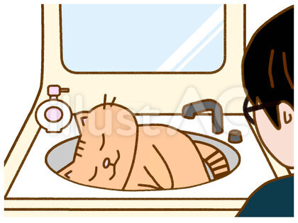 洗面台でくつろぐ茶トラ猫