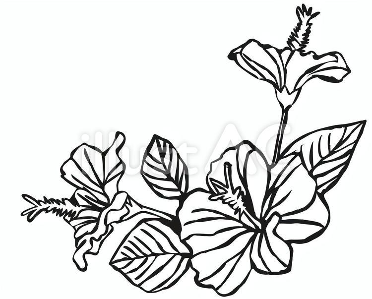 ハイビスカス切り絵 ハイビスカス,切り絵,花のイラスト素材