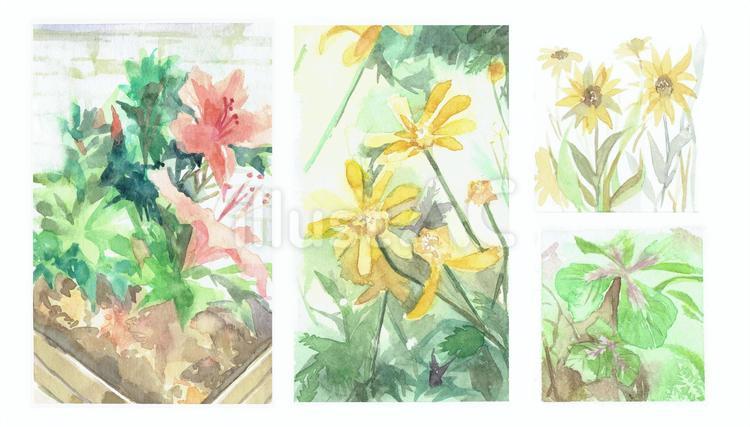 いろいろ植物（水彩画） 植物,花,水彩画のイラスト素材