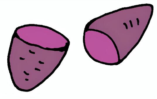 むらさきいも むらさきいも,紅芋,断面,半分,いも,根菜,野菜,畑,芋掘り,蒸かし芋のイラスト素材