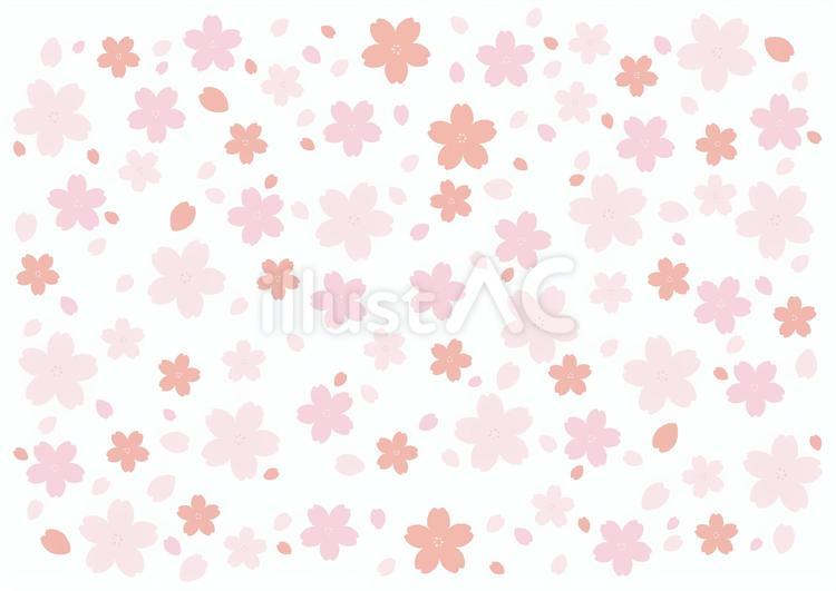 桜4　春　さくら　花　ピンク　桃色　背景 桜,植物,花のイラスト素材