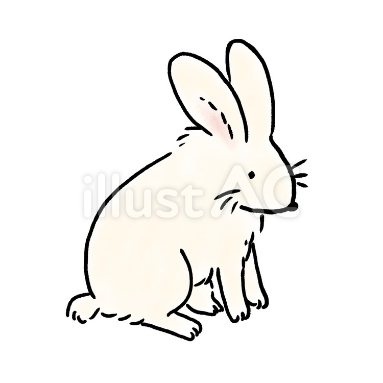 ウサギ（白） うさぎ,ウサギ,兎のイラスト素材