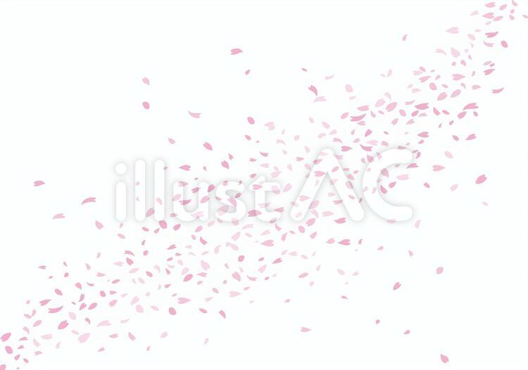さくら2b 桜,花びら,春のイラスト素材
