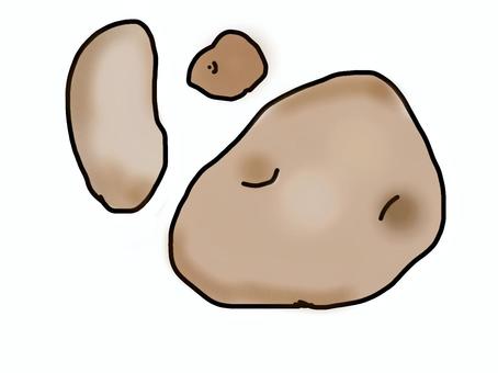 ジャガイモ ジャガイモ,男爵,食料,メークイン,種芋,植物,根菜,芋,ホクホクのイラスト素材