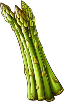 asparagus, , JPG and PNG