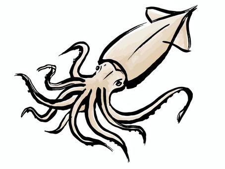 するめいか いか,烏賊,スルメ,筆,躍動感,跳ねる,シンプル,魚介,刺身,寿司のイラスト素材