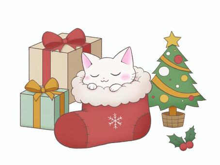 クリスマス靴下で眠る白猫のイラスト 猫,かわいい,ほっこり,ゆるい,冬,靴下,プレゼント,クリスマスツリー,ヒイラギ,雪の結晶のイラスト素材