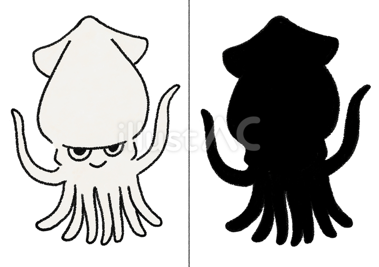 シルエットクイズ７ イカ,海,生き物のイラスト素材