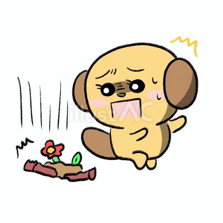 目の前で植木鉢が落ちてきたワンちゃん 白背景,かわいい,無料のイラスト素材