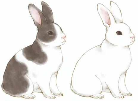 watercolor rabbit, JPG and PNG watercolor rabbit, rabbit, new year's cards, animal, JPG and PNG