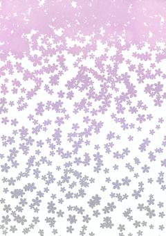 桜吹雪透過素材 桜吹雪透過素材 桜,花,ピンクのイラスト素材