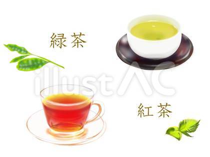 緑茶 紅茶 素材