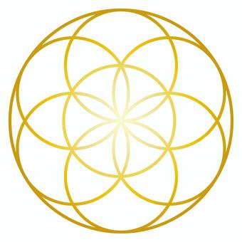 Illustration, seed of life, simple, line drawing, 