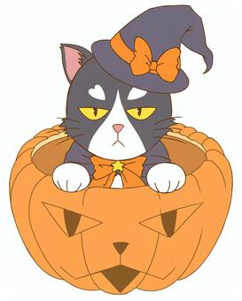 A witch cat who entered pumpkin (pattern 2), halloween, witch, pumpkin, JPG and PNG