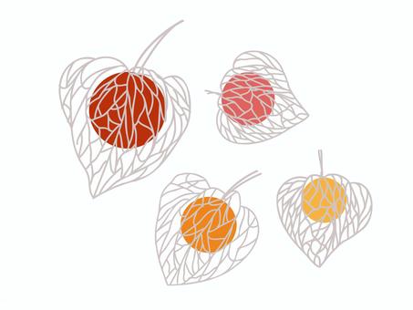 ホオズキ4個実の模様なし ホオズキ4個実の模様なし ホオズキ,夏,植物,風物詩,赤い,葉脈,シンプル,挿絵,オブジェクトのイラスト素材