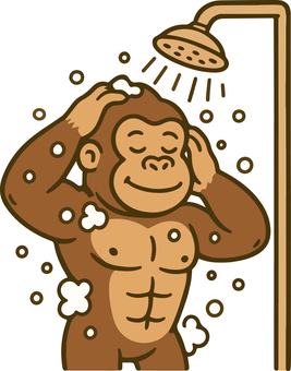 シャワーを浴びるゴリラ 筋トレ,ゴリラ,ムキムキ,ベクター,風呂,シャワー,水浴び,泡のイラスト素材