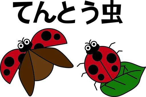 てんとう虫　　 てんとう虫,昆虫,飛ぶ,小さい,かわいい,デフォルメ,文字のイラスト素材
