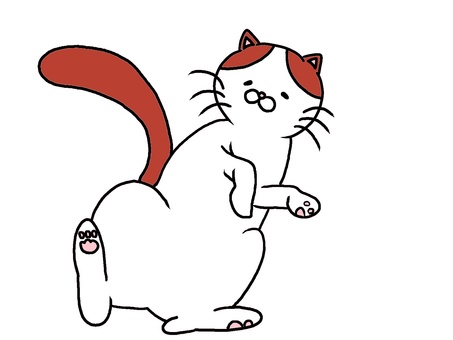 ハチワレねこ 猫,白,茶色,寝転ぶ,かわいい,一匹,全身,癒し,イラストのイラスト素材