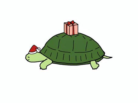 亀サンタ カメ,クリスマス,プレゼント,爬虫類,生きもののイラスト素材
