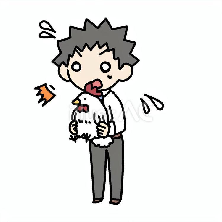鶏を抱えた慌てた男性 男性,鶏,抱えるのイラスト素材